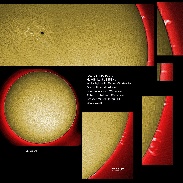 <font class="tempImageTitleThumbText">AR2738 And Prominences</font><br>James Roger Samworth<br>Apr 13 12:20pm<br>Nailstone, Nuneaton, UK