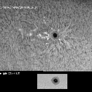 <font class="tempImageTitleThumbText">AR2738 And Prominences</font><br>James Roger Samworth<br>Apr 14 6:24pm<br>Nailstone, Nuneaton, UK