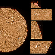 <font class="tempImageTitleThumbText">ARs 3156-3167, Filaments And Prominences</font><br>James Roger Samworth<br>Dec 15 5:58am<br>Nailstone, Nuneaton, UK