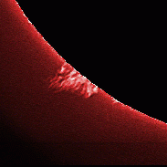 <font class="tempImageTitleThumbText">Solar Prominences</font><br>James Roger Samworth<br>Sep 20 5:23pm<br>Nailstone, Nuneaton, UK