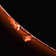 <font class="tempImageTitleThumbText">Solar Prominences</font><br>James Roger Samworth<br>Apr 16 5:41pm<br>Nailstone, Nuneaton, UK