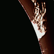 <font class="tempImageTitleThumbText">Large Active Prominence</font><br>James Roger Samworth<br>Feb 4 12:49pm<br>Nailstone, Nuneaton, UK