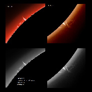 <font class="tempImageTitleThumbText">Solar Prominences</font><br>James Roger Samworth<br>Apr 13 10:13pm<br>Nailstone, Nuneaton, UK