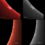 <font class="tempImageTitleThumbText">Solar Prominences</font><br>James Roger Samworth<br>Sep 19 9:13am<br>Nailstone, Nuneaton, UK