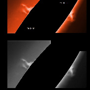 <font class="tempImageTitleThumbText">Solar Prominences</font><br>James Roger Samworth<br>Mar 27 4:26pm<br>Nailstone, Nuneaton, UK