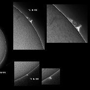 <font class="tempImageTitleThumbText">Solar Prominences</font><br>James Roger Samworth<br>Feb 6 1:05pm<br>Nailstone, Nuneaton, UK