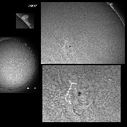 <font class="tempImageTitleThumbText">AR 2741 And  Prominences</font><br>James Roger Samworth<br>May 13 9:43am<br>Nailstone, Nuneaton, UK