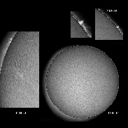 <font class="tempImageTitleThumbText">Solar Prominences And AR 2733</font><br>James Roger Samworth<br>Feb 16 4:45pm<br>Nailstone, Nuneaton, UK