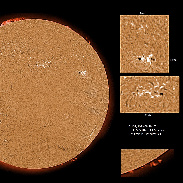 <font class="tempImageTitleThumbText">AR3173-3180 Filaments And Prominences</font><br>James Roger Samworth<br>Jan 1 11:39am<br>Nailstone, Nuneaton, UK