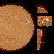 <font class="tempImageTitleThumbText">AR3110-3114 And Prominences</font><br>James Roger Samworth<br>Oct 3 11:56am<br>Nailstone, Nuneaton, UK