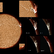 <font class="tempImageTitleThumbText">ARs 2936-2941 Plus Large Active Prominenc</font><br>James Roger Samworth<br>Feb 4 5:05pm<br>Nailstone, Nuneaton, UK