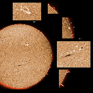 <font class="tempImageTitleThumbText">ARs2936-2941 And Another Large Prominence</font><br>James Roger Samworth<br>Feb 6 4:59pm<br>Nailstone, Nuneaton, UK