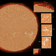 <font class="tempImageTitleThumbText">AR3177-3183, Filaments And Near-polar Pro</font><br>James Roger Samworth<br>Jan 7 5:38pm<br>Nailstone, Nuneaton, UK