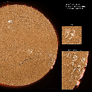 <font class="tempImageTitleThumbText">ARs 3207-3216, Filaments And Prominences</font><br>James Roger Samworth<br>Feb 7 10:34am<br>Nailstone, Nuneaton, UK
