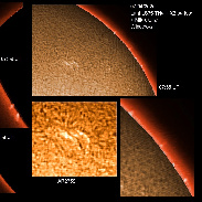 <font class="tempImageTitleThumbText">AR2759 And Prominences</font><br>James Roger Samworth<br>Apr 7 9:52am<br>Nailstone, Nuneaton, UK