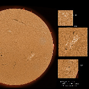 <font class="tempImageTitleThumbText">AR3180-3185 Filaments And Prominences</font><br>James Roger Samworth<br>Jan 9 5:07pm<br>Nailstone, Nuneaton, UK