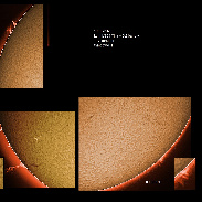 <font class="tempImageTitleThumbText">Solar Prominences</font><br>James Roger Samworth<br>Feb 10 12:51pm<br>Nailstone, Nuneaton, UK