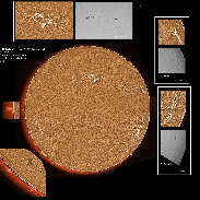 <font class="tempImageTitleThumbText">AR2939-2941 And Prominences</font><br>James Roger Samworth<br>Feb 10 4:58pm<br>Nailstone, Nuneaton, UK