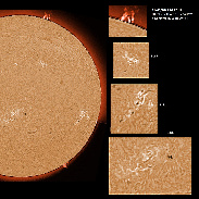 <font class="tempImageTitleThumbText">AR3181-3187 Filaments And Prominences</font><br>James Roger Samworth<br>Jan 11 6:37pm<br>Nailstone, Nuneaton, UK