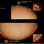 <font class="tempImageTitleThumbText">Solar Prominences And Polar Bubble Promin</font><br>James Roger Samworth<br>Jan 12 5:33pm<br>Nailstone, Nuneaton, UK