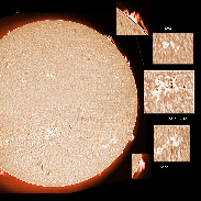 <font class="tempImageTitleThumbText">ARs 3006-3012 And Prominences</font><br>James Roger Samworth<br>May 14 9:35pm<br>Nailstone, Nuneaton, UK