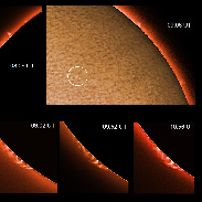 <font class="tempImageTitleThumbText">Solar Prominences</font><br>James Roger Samworth<br>Apr 15 4:32pm<br>Nailstone, Nuneaton, UK