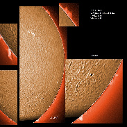 <font class="tempImageTitleThumbText">AR2894, 2896 And Prominences</font><br>James Roger Samworth<br>Nov 15 4:38pm<br>Nailstone, Nuneaton, UK
