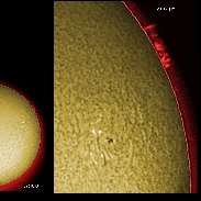 <font class="tempImageTitleThumbText">AR 2741 And Prominence</font><br>James Roger Samworth<br>May 16 8:47am<br>Nailstone, Nuneaton, UK