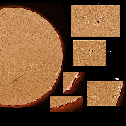 <font class="tempImageTitleThumbText">ARs 3182-3194 Filaments And Prominences</font><br>James Roger Samworth<br>Jan 17 2:23pm<br>Nailstone, Nuneaton, UK
