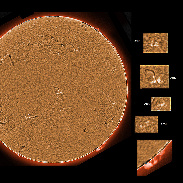 <font class="tempImageTitleThumbText">AR2943-2951 And Prominences</font><br>James Roger Samworth<br>Feb 17 3:58pm<br>Nailstone, Nuneaton, UK