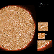 <font class="tempImageTitleThumbText">AR2946-2952 And Prominences</font><br>James Roger Samworth<br>Feb 18 12:55pm<br>Nailstone, Nuneaton, UK