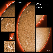 <font class="tempImageTitleThumbText">Solar Prominences And New Active Regions</font><br>James Roger Samworth<br>May 19 2:33pm<br>Nailstone, Nuneaton, UK
