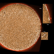 <font class="tempImageTitleThumbText">ARs 2929 - 2934 And Prominences</font><br>James Roger Samworth<br>Jan 20 4:52pm<br>Nailstone, Nuneaton, UK