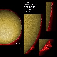 <font class="tempImageTitleThumbText">Solar Prominences</font><br>James Roger Samworth<br>May 20 11:44am<br>Nailstone, Nuneaton, UK