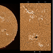 <font class="tempImageTitleThumbText">ARs 3190-3199, Filaments And Prominences</font><br>James Roger Samworth<br>Jan 21 5:35pm<br>Nailstone, Nuneaton, UK
