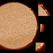 <font class="tempImageTitleThumbText">AR2953-2955 And Prominences</font><br>James Roger Samworth<br>Feb 22 5:02pm<br>Nailstone, Nuneaton, UK