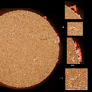 <font class="tempImageTitleThumbText">AR3081-3085 And Prominences</font><br>James Roger Samworth<br>Aug 22 10:02am<br>Nailstone, Nuneaton, UK