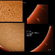 <font class="tempImageTitleThumbText">AR2886, 2887 And Prominences</font><br>James Roger Samworth<br>Oct 22 3:36pm<br>Nailstone, Nuneaton, UK