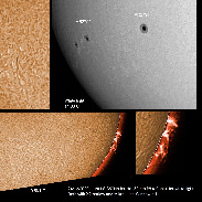 <font class="tempImageTitleThumbText">AR2794, AR2795 And Prominences</font><br>James Roger Samworth<br>Dec 24 12:11pm<br>Nailstone, Nuneaton, UK