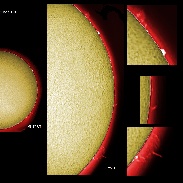 <font class="tempImageTitleThumbText">Solar Prominences</font><br>James Roger Samworth<br>Feb 25 2:27pm<br>Nailstone, Nuneaton, UK