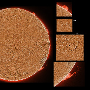 <font class="tempImageTitleThumbText">ARs 2934-2937 And Prominences</font><br>James Roger Samworth<br>Jan 26 4:06pm<br>Nailstone, Nuneaton, UK