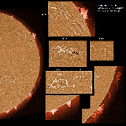 <font class="tempImageTitleThumbText">ARs 3229-3237, Filaments And Prominences</font><br>James Roger Samworth<br>Feb 26 12:14pm<br>Nailstone, Nuneaton, UK
