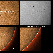 <font class="tempImageTitleThumbText">AR2818, 2820, 2821 And Prominences</font><br>James Roger Samworth<br>Apr 28 4:05pm<br>Nailstone, Nuneaton, UK