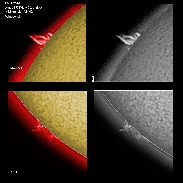 <font class="tempImageTitleThumbText">Solar Prominences</font><br>James Roger Samworth<br>Nov 29 3:19pm<br>Nailstone, Nuneaton, UK