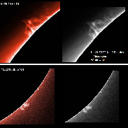 <font class="tempImageTitleThumbText">Solar Prominences</font><br>James Roger Samworth<br>Oct 31 10:06am<br>Nailstone, Nuneaton, UK