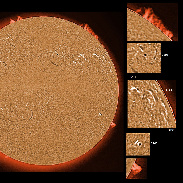 <font class="tempImageTitleThumbText">ARs 3198-3206, Filaments And Prominences</font><br>James Roger Samworth<br>Jan 30 10:58am<br>Nailstone, Nuneaton, UK
