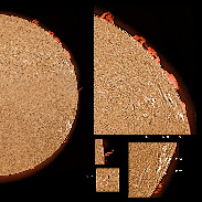 <font class="tempImageTitleThumbText">ARs 3256-3266 Filaments And Prominences</font><br>James Roger Samworth<br>Mar 30 4:22pm<br>Nailstone, Nuneaton, UK