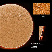 <font class="tempImageTitleThumbText">AR2954-2958 And Prominences</font><br>James Roger Samworth<br>Mar 1 1:48pm<br>Nailstone, Nuneaton, UK