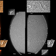 <font class="tempImageTitleThumbText">AR2898, 2900, 2902 Prominences And Filame</font><br>James Roger Samworth<br>Dec 2 12:16pm<br>Nailstone, Nuneaton, UK