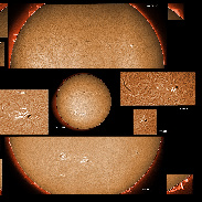 <font class="tempImageTitleThumbText">AR2863, 2864, 2866, 2868, 2869 And Promin</font><br>James Roger Samworth<br>Sep 8 4:27pm<br>Nailstone, Nuneaton, UK